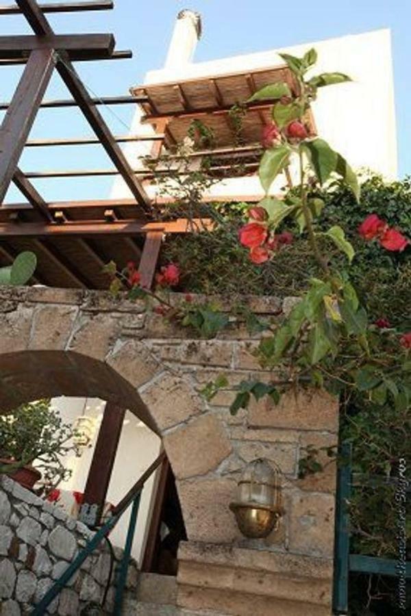 סקירוס Traditional Studio מראה חיצוני תמונה